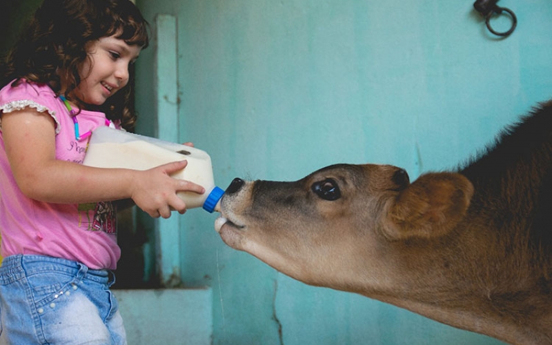 83c6c3e63cf5c8a1897bf5a0c4d3400e