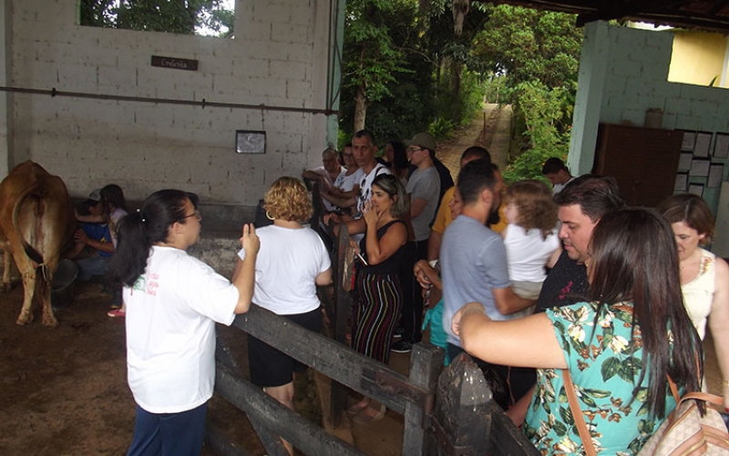 8af9f542a5ee7dbfcb68e4f44e0a8522