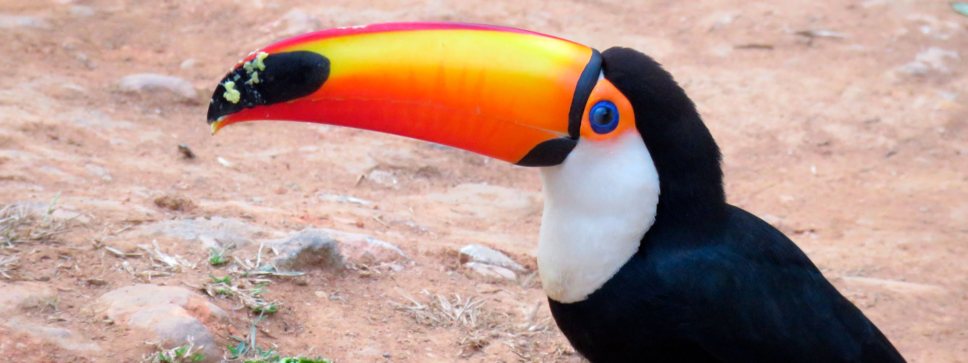 Hotel Fazenda Sítio Lagoa Seca - São Lourenço/MG